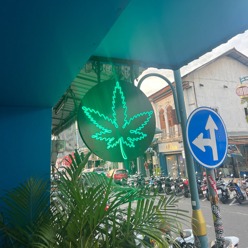 Discovering Thailand: A Journey of Culture, Cannabis and Connection